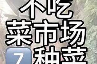 开云app官网入口登录下载截图2